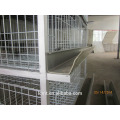 Poultry cages are specially designed for broiler chickens
